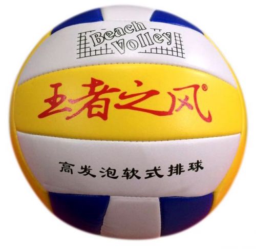 Ballon de volley - Ref 2009189