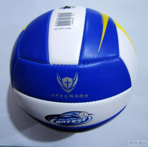 Ballon de volley - Ref 2009190