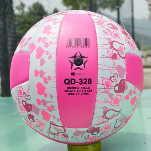 Ballon de volley - Ref 2009202