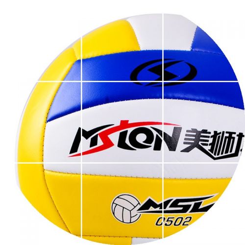 Ballon de volley - Ref 2009204