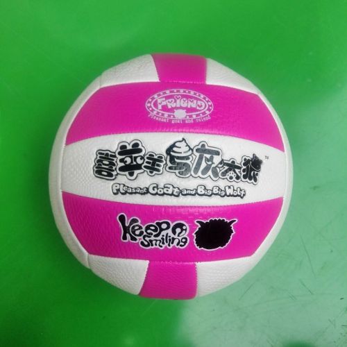 Ballon de volley - Ref 2009224