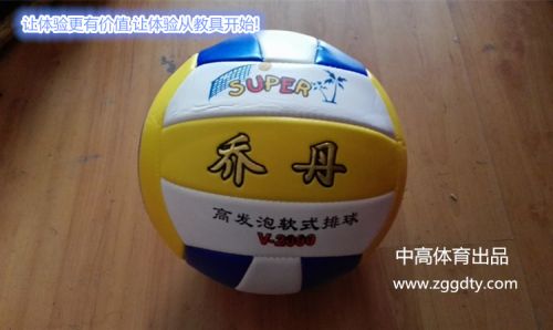 Ballon de volley - Ref 2009262
