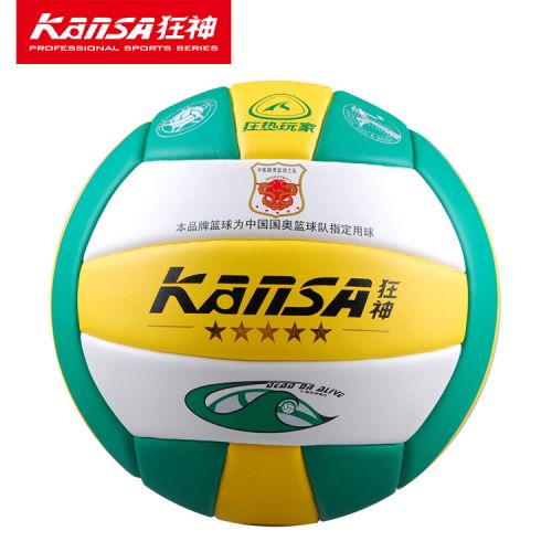 Ballon de volley - Ref 2009274