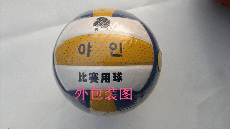 Ballon de volley - Ref 2009296
