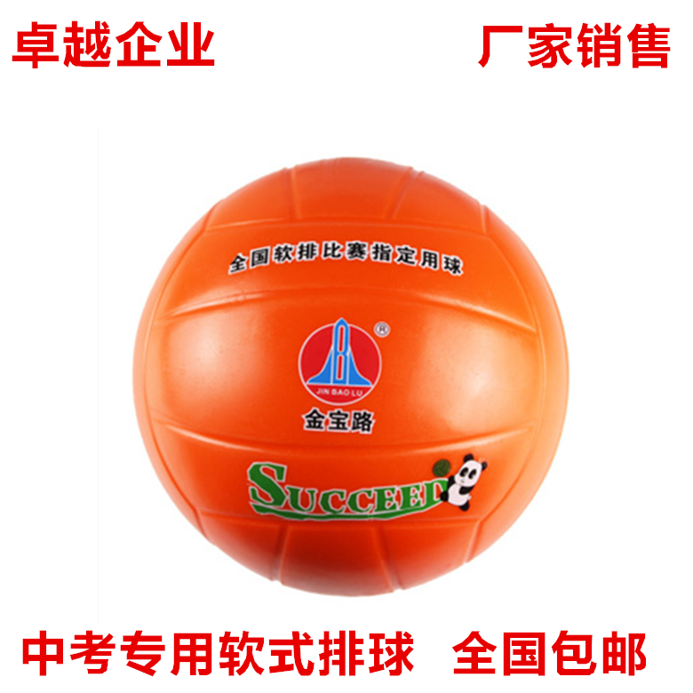 Ballon de volley - Ref 2009303