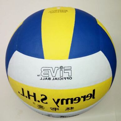 Ballon de volley - Ref 2009333