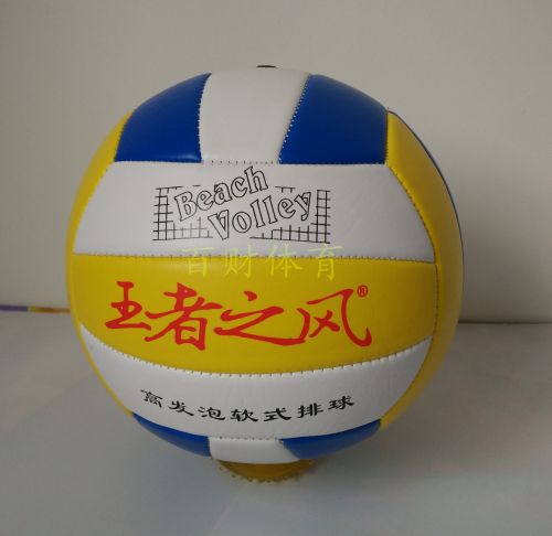 Ballon de volley - Ref 2009366