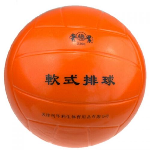 Ballon de volley - Ref 2009377