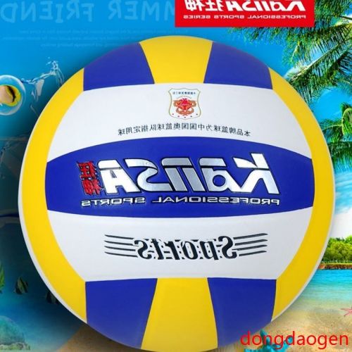 Ballon de volley - Ref 2009390