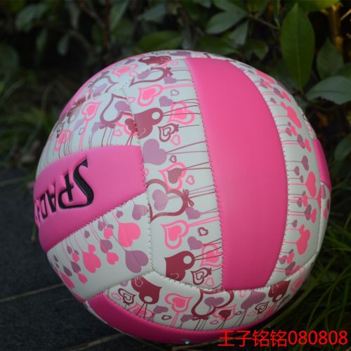 Ballon de volley - Ref 2009402