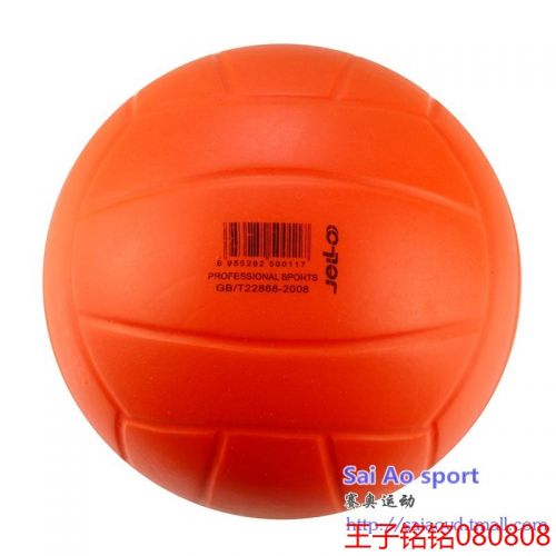 Ballon de volley - Ref 2009403