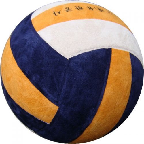 Ballon de volley - Ref 2009408