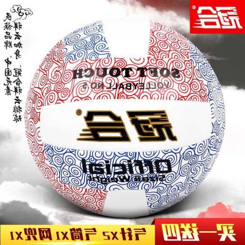 Ballon de volley - Ref 2009412
