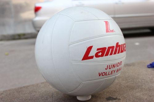 Ballon de volley - Ref 2009423
