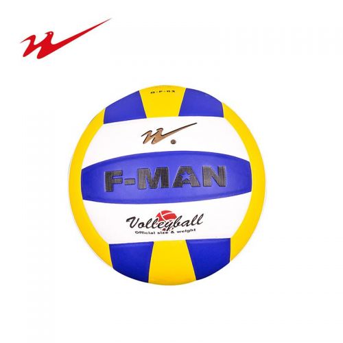 Ballon de volley DOUBLE STAR - Ref 2009438