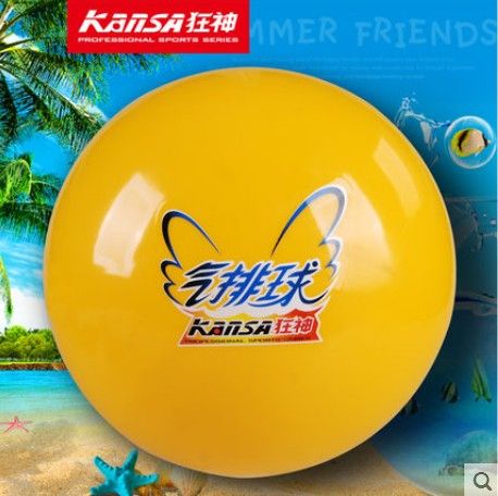 Ballon de volley - Ref 2009457
