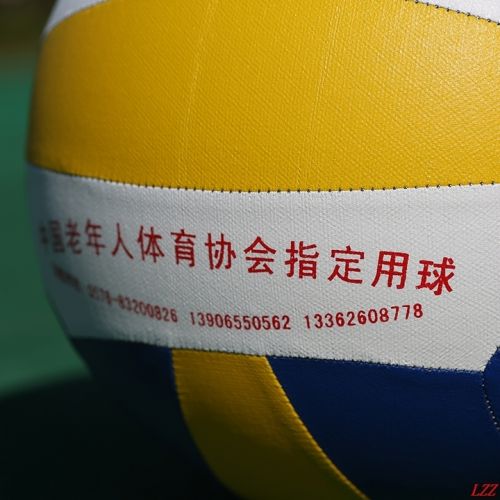 Ballon de volley - Ref 2009490