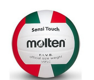 Ballon de volley MOLTEN - Ref 2009506