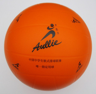 Ballon de volley - Ref 2009524