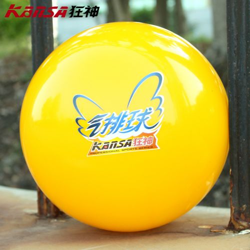 Ballon de volley - Ref 2009527
