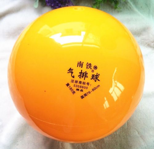 Ballon de volley - Ref 2009540