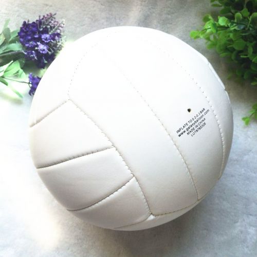 Ballon de volley - Ref 2009543