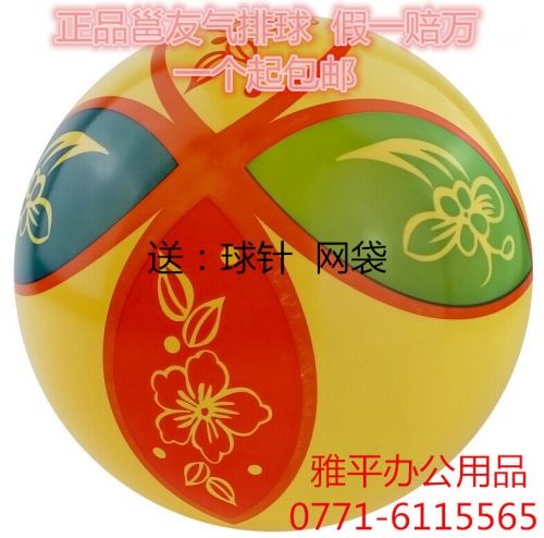 Ballon de volley - Ref 2009553