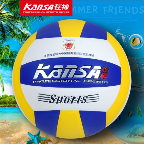 Ballon de volley - Ref 2009556