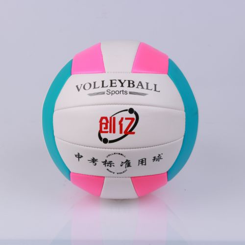 Ballon de volley - Ref 2009558