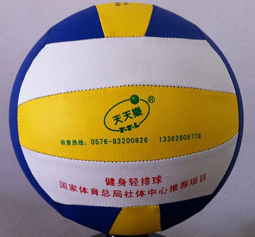 Ballon de volley - Ref 2009575