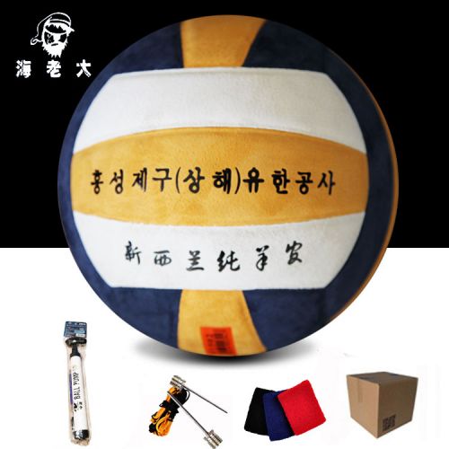 Ballon de volley - Ref 2009581
