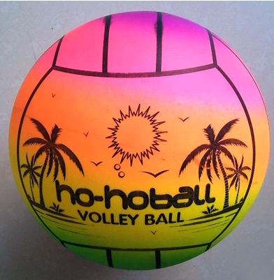 Ballon de volley - Ref 2009586