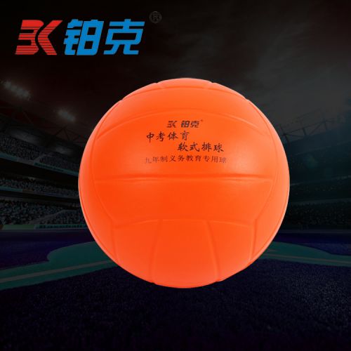 Ballon de volley - Ref 2009605