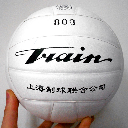 Ballon de volley TRAIN - Ref 2009606