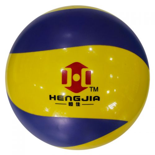 Ballon de volley 2009609