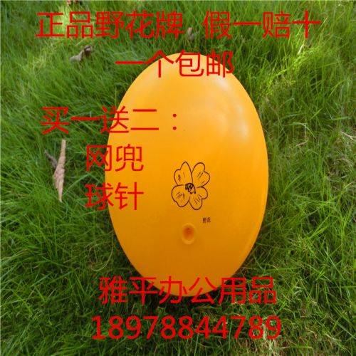 Ballon de volley - Ref 2009619