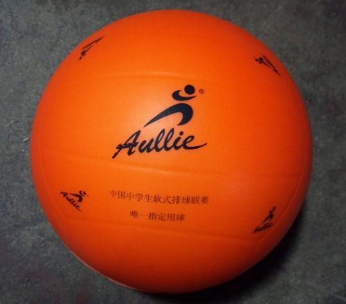 Ballon de volley - Ref 2009626