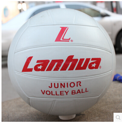 Ballon de volley - Ref 2009627