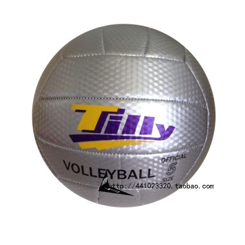 Ballon de volley - Ref 2009649