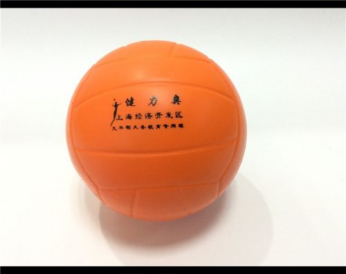 Ballon de volley - Ref 2009675