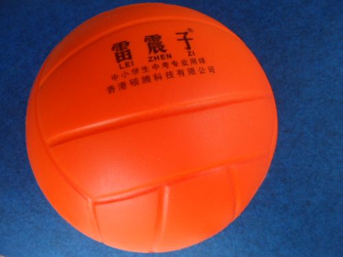 Ballon de volley - Ref 2009679