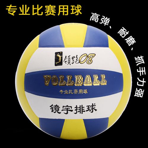 Ballon de volley - Ref 2009737