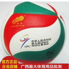 Ballon de volley - Ref 2009741