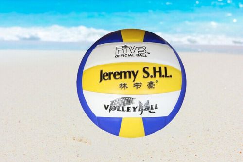 Ballon de volley - Ref 2009742