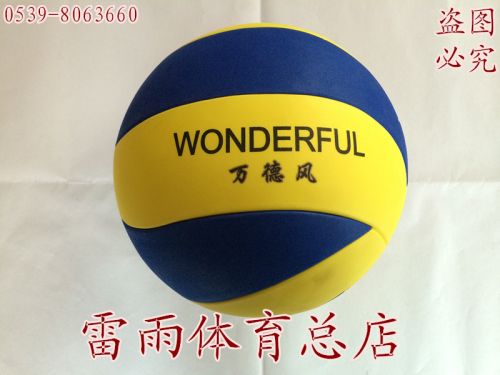 Ballon de volley - Ref 2009753