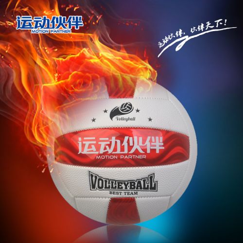 Ballon de volley - Ref 2009757