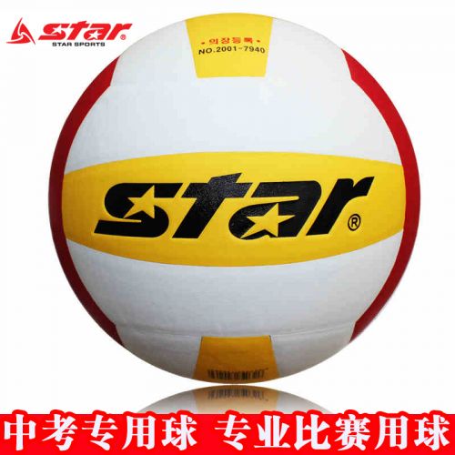 Ballon de volley 2009812