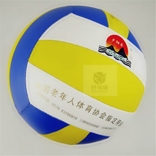 Ballon de volley - Ref 2009814