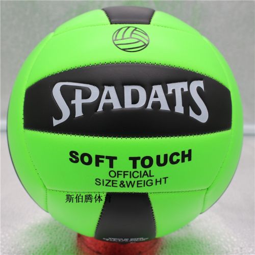 Ballon de volley - Ref 2009816