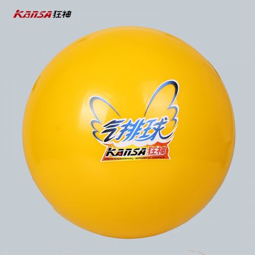 Ballon de volley - Ref 2009820